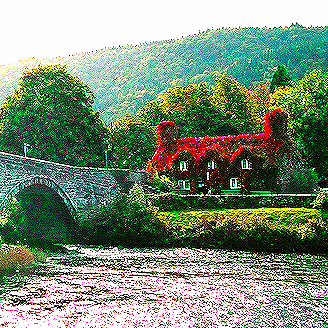 Home At First's Wales Cottage Vacations