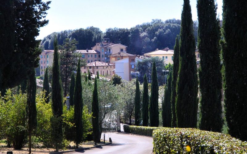 The private entrance drive leads uphill from an electric gate.