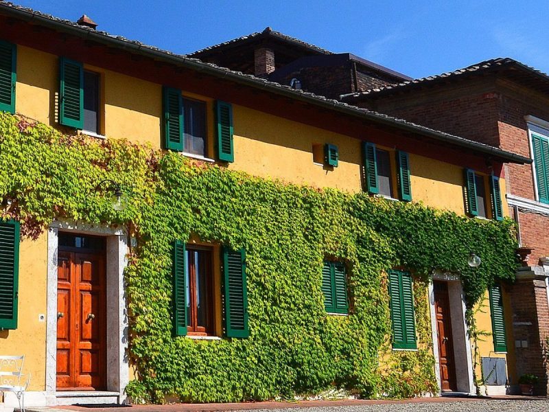 Apt. B's ivy-covered exterior facade