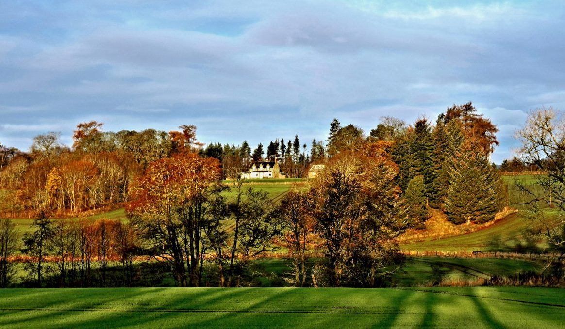 Northern Highlands Estate - Old Main Cottage in autumn