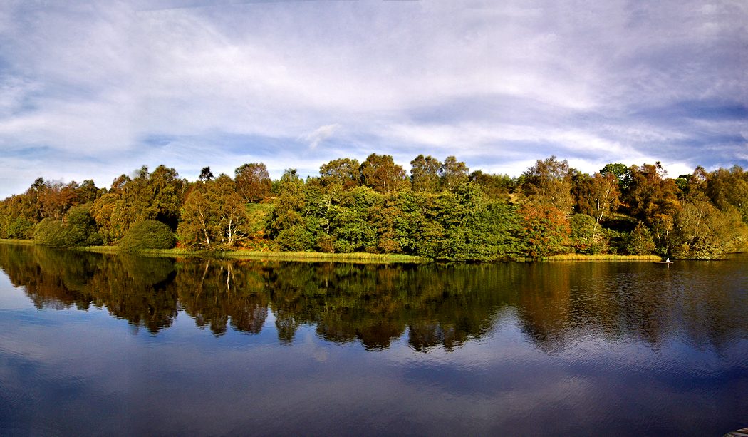 Northern Highlands Estate - Pond w. solitary swan