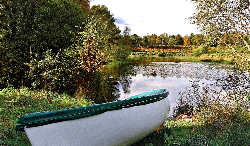 Northern Highlands Estate — Rowboat by pond