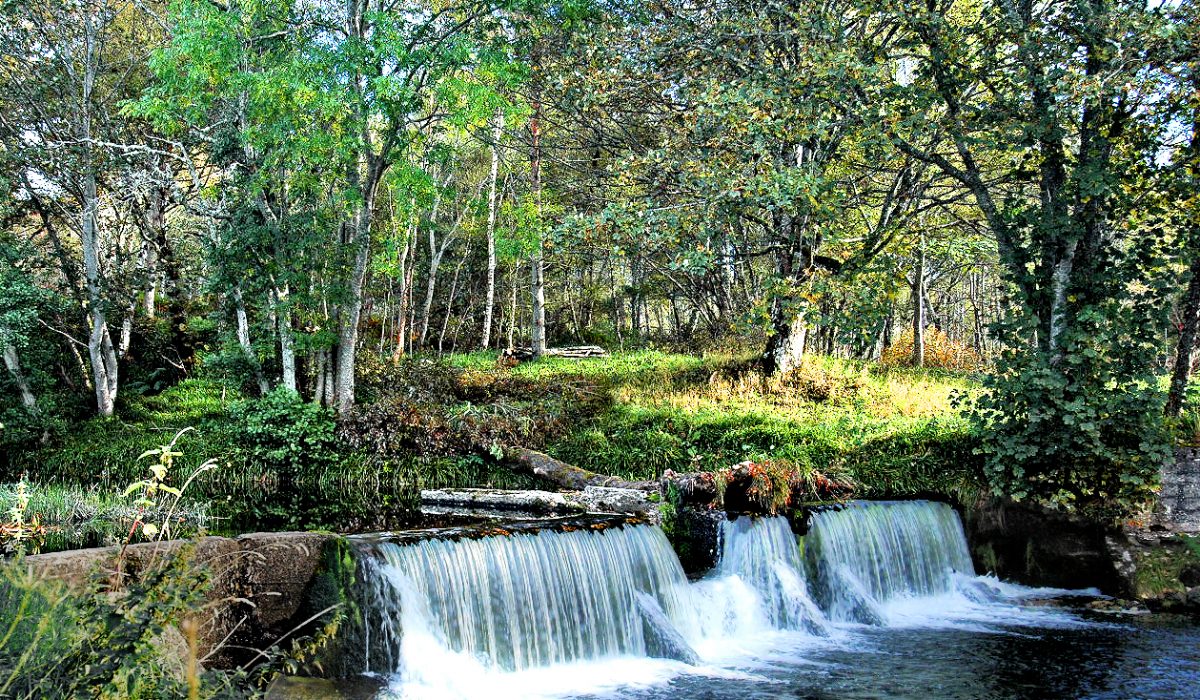 Northern Highlands Estate — Woodland waterfall