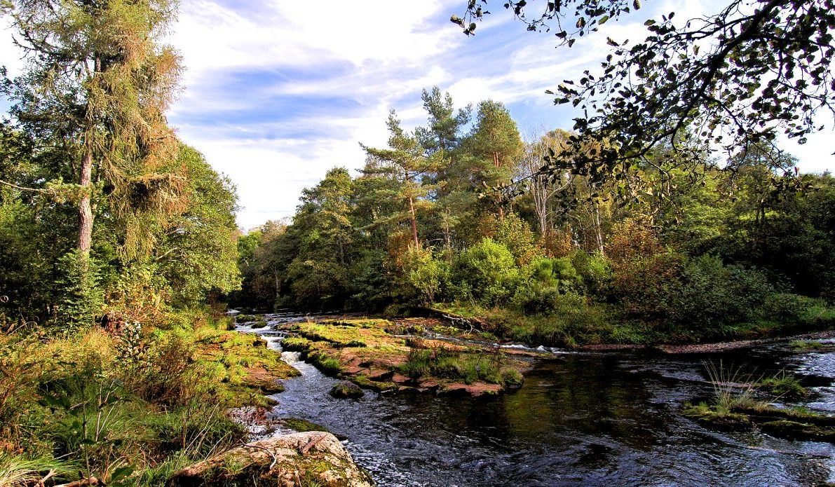 Highlands Estate fishing creek in Northern Scotland