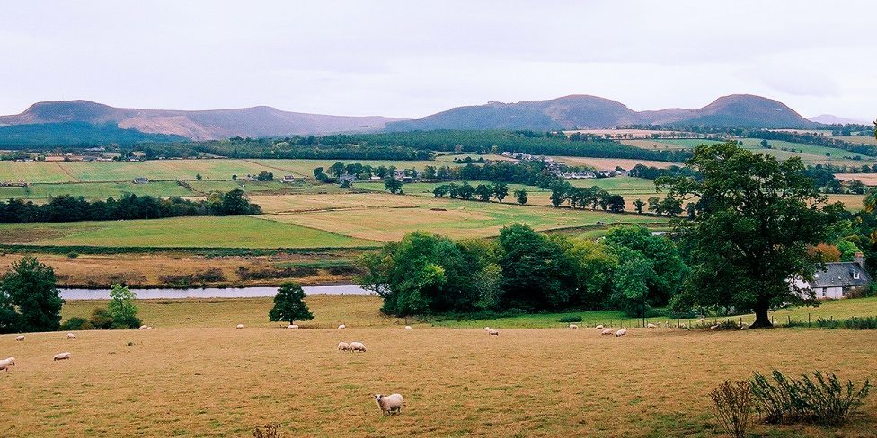 Northern Scotland sheep Farm on the edge of the Northern Highlands