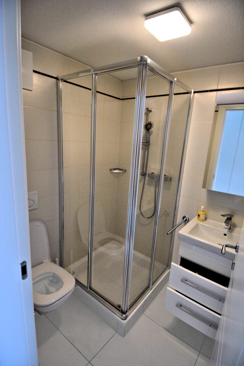 New Town - Premium Apartment — 2nd Bathroom with shower.