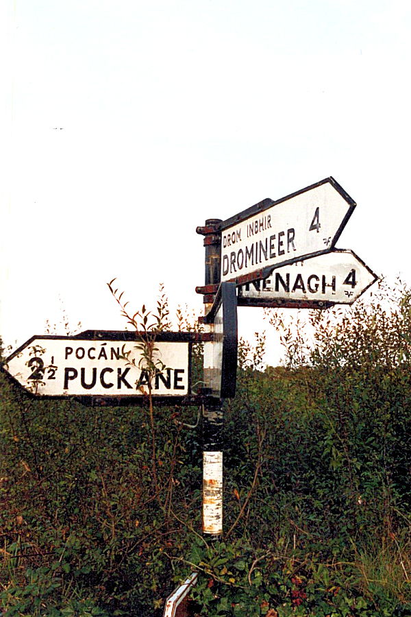 North Tipperary: old road signs at a rural junction.