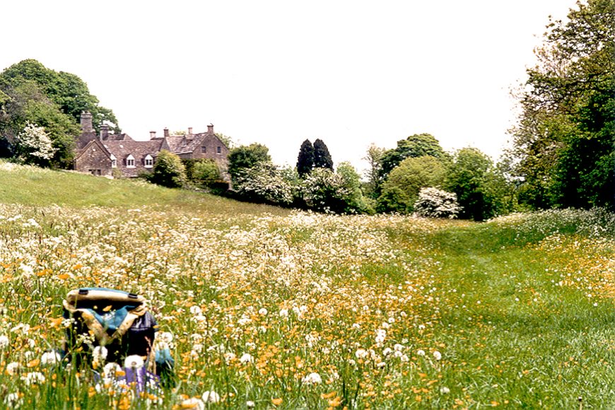 Cotswolds: Rambling (hiking) path through the meadow. Photo copyright Home At First.