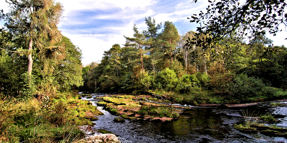 Fishing creek on our Northern Highlands Estate