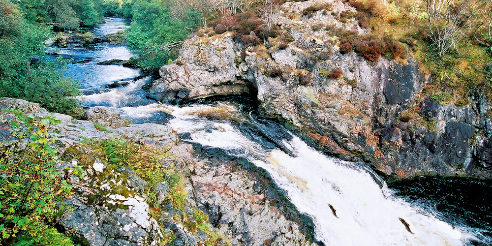 Northern Scotland - Salmon leap at the Falls of Shin