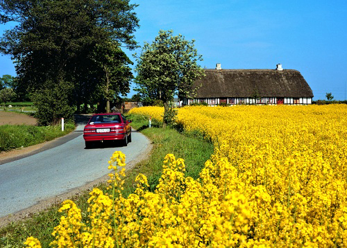 Jutland: Car touring through the region. Denmark Tourism Photo by Jorgen Schytte.