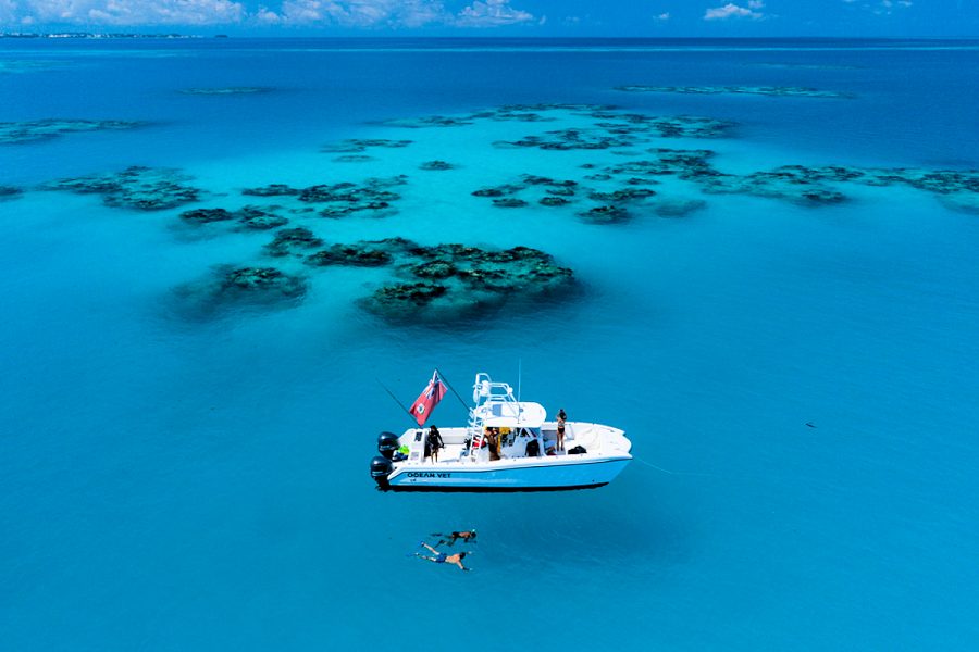 Bermuda: snorkeling. Bermuda Tourism Authority photo.