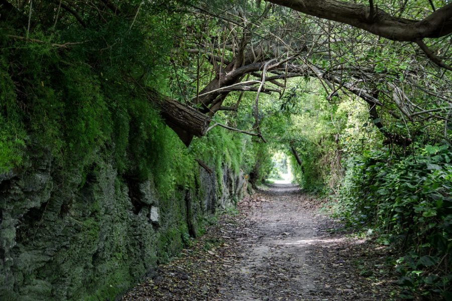 Bermuda's Railway Trail. Bermuda Tourism Authority photo.