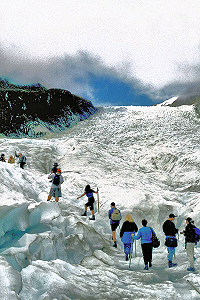 Westland - Fox Glacier Helihiking. Photo © Home At First.