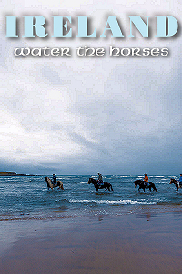 NW Ireland: Island View Riding Stables, Co Sligo. Photo Courtesy Nomos Production Failte Ireland.