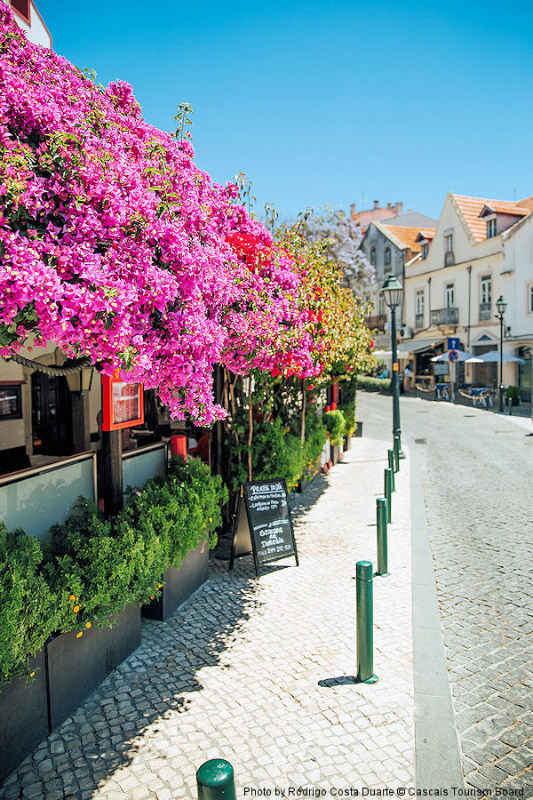 Lisbon Region: Cascais - Flower lined street. Photo by Rodrigo Costa Duarte © Cascais Tourism Board.