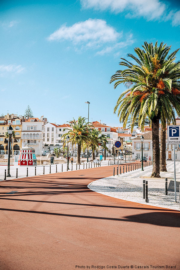 Lisbon Region: Cascais - Palm tree lined street. Photo by Rodrigo Costa Duarte © Cascais Tourism Board.