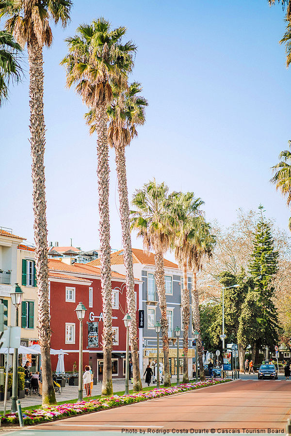 Lisbon Region: Cascais palm tree lined street. Photo by Rodrigo Cost Duarte © Cascais Tourism Board.