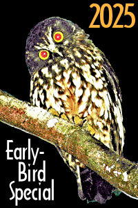 Early-Birds Get 1st Choice of Availability!