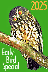 2025 EARLY-BIRD SPECIAL!