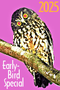 Early-Birds avoid 2025 price increases!