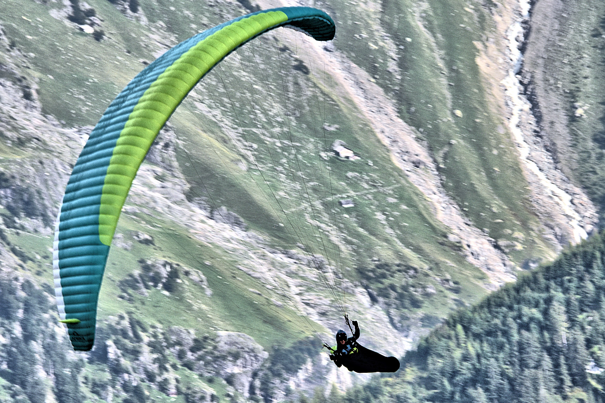10. He suddenly swung around counter-clockwise and, riding an updraft along the slope, came back up to me.