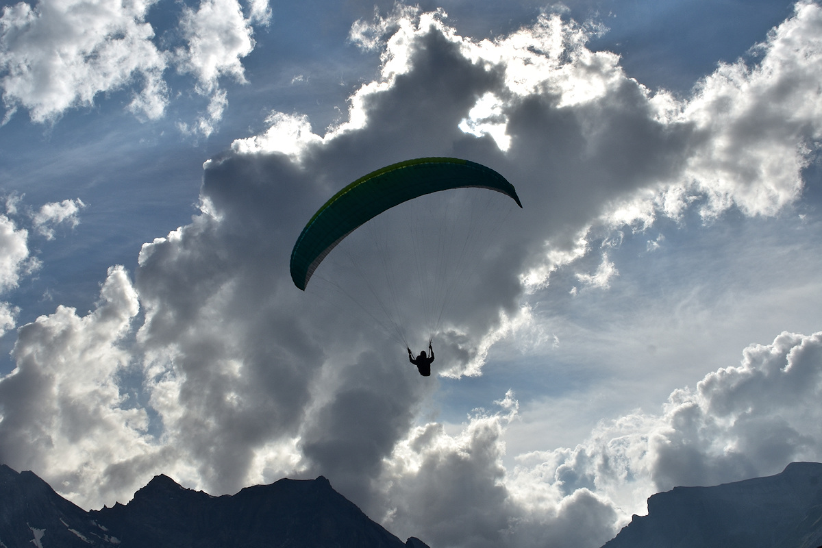 6. As he flew closer, it became obvious that he not only saw me, but that he might attempt to buzz me.