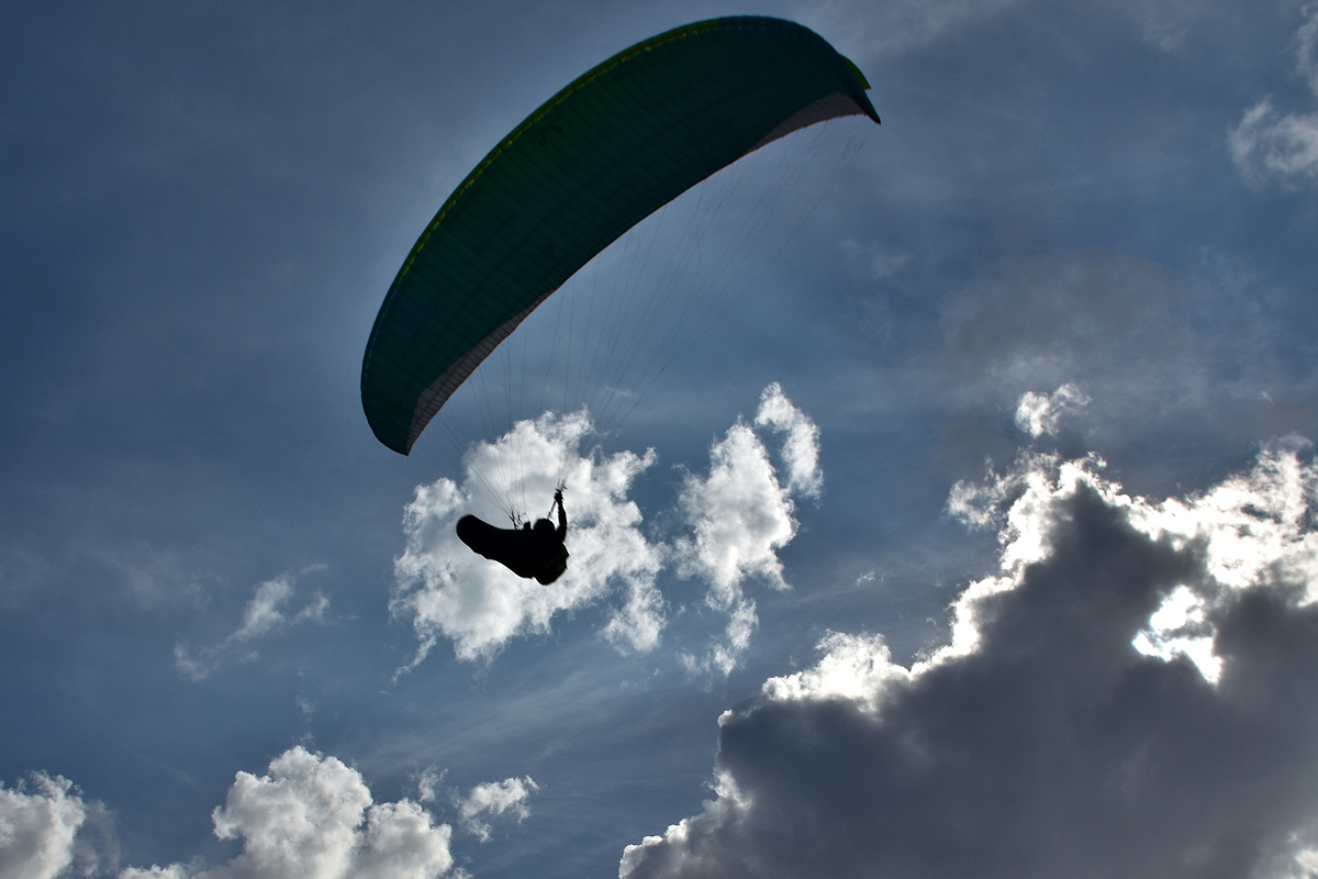 8. As he passed overhead, I zoomed in to keep him in the viewfinder. I yelled: "Where should I send the photos?"