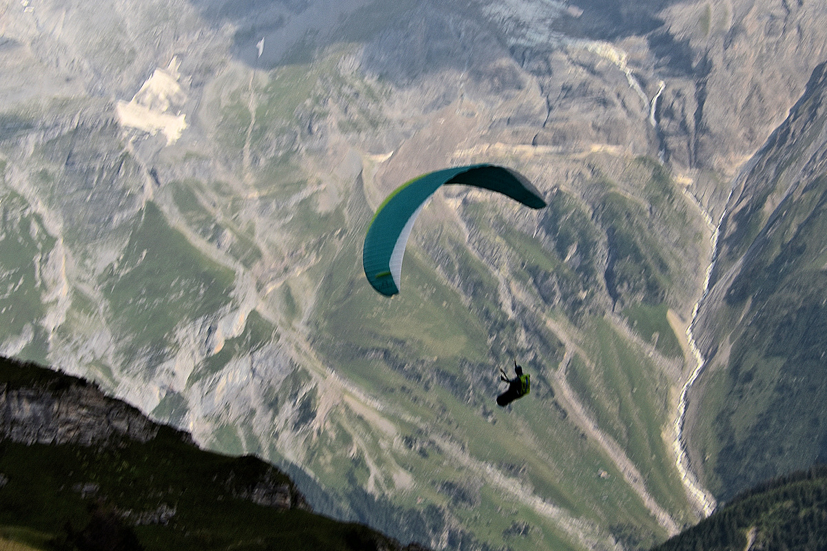 9. He clearly heard me as he swooshed passed and began to descend the south side of Wassenegg Ridge.