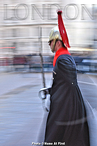 Horseguard Dervish - Photo © Home At First
