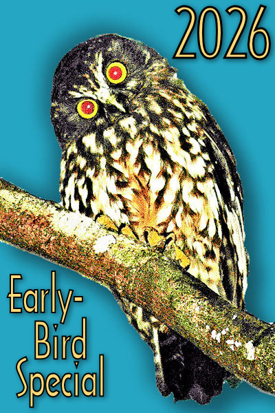 2026 Early-Bird aqua! Image © Home At First.