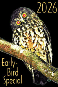 2026 Early-Bird black! Image © Home At First.