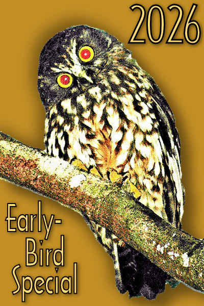 2026 Early-Bird gold! Image © Home At First.