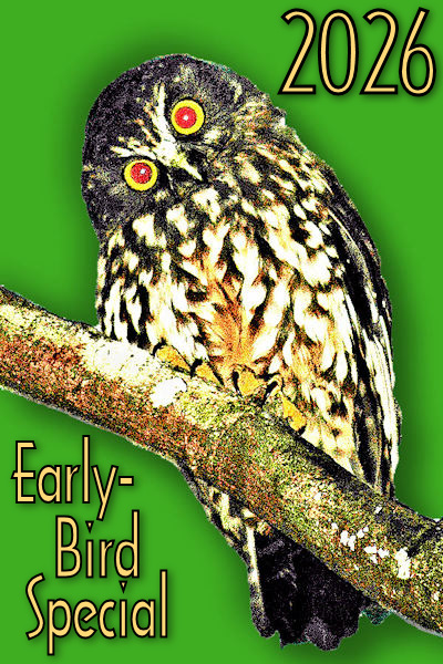 2026 Early-Bird grass green! Image © Home At First.