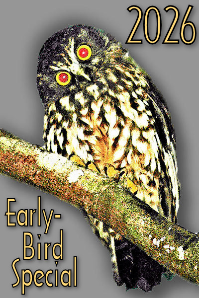 2026 Early-Bird grey! Image © Home At First.