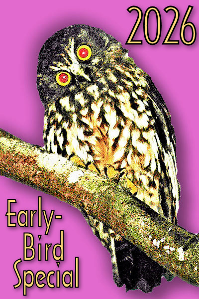 2026 Early-Bird neon purple! Image © Home At First.