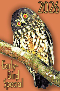 2026 Early-Bird salmon! Image © Home At First.