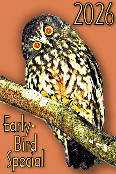 2026 Early-Bird salmon! Image © Home At First.