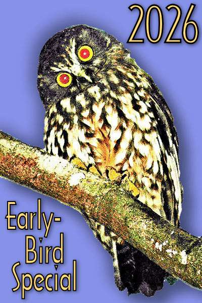 2026 Early-Bird blue! Image © Home At First.