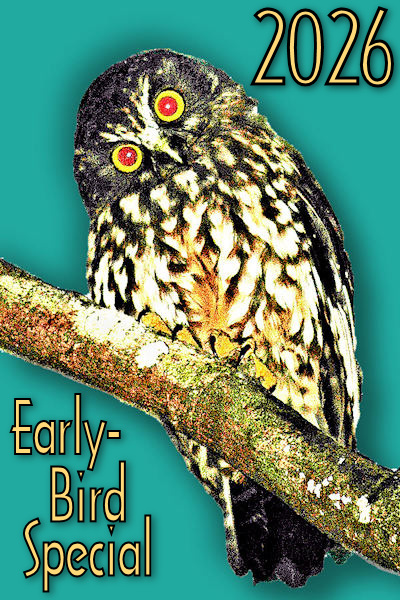 2026 Early-Bird teal! Image © Home At First.