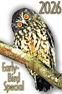 2026 Early-Bird white! Image © Home At First.